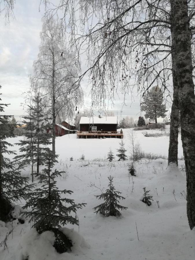 Presterudveien 125 Vikersund Exterior photo